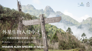 外來植物識別與移除工作坊