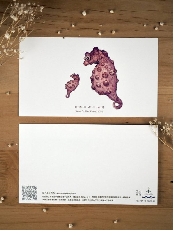 ／／海馬父子明信片／／：圖片 2